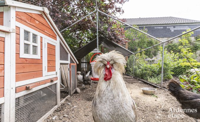 Ferienhaus Limbourg 9 Pers. Ardennen