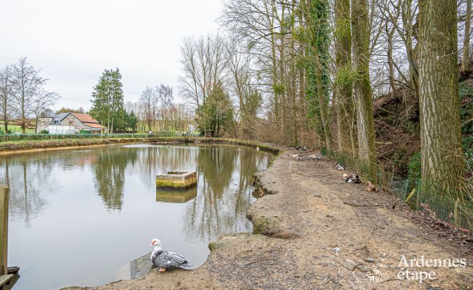 Verweilen Sie in einem charmanten Ferienhaus in Limburg in der Ardennen: Komfort fr 6-8 Personen und vielfltige Aktivitten in der Nhe