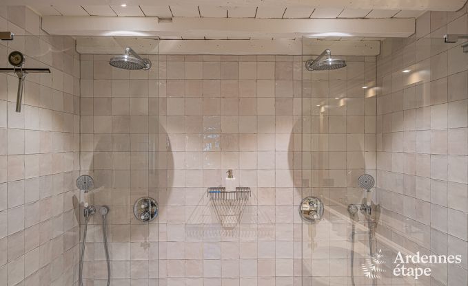 Ferienhaus Lustin 4 Pers. Ardennen Wellness