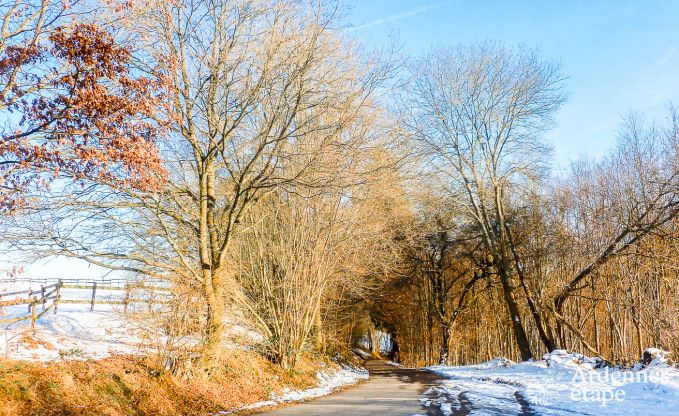 Ferienhaus Malmedy (Bellevaux) 7 Pers. Ardennen