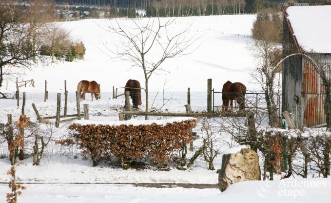 Ferienhaus Malmedy (Xhoffraix) 18 Pers. Ardennen Wellness