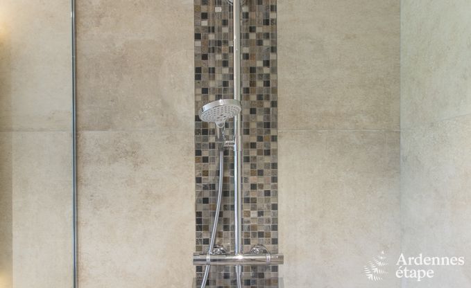 Ferienhaus Malmedy 10 Pers. Ardennen Behinderten gerecht