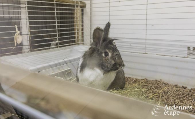 Ferienhaus Malmedy 7 Pers. Ardennen