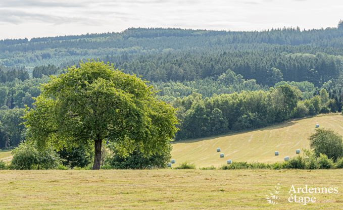 Ferienhaus Malmedy 4 Pers. Ardennen