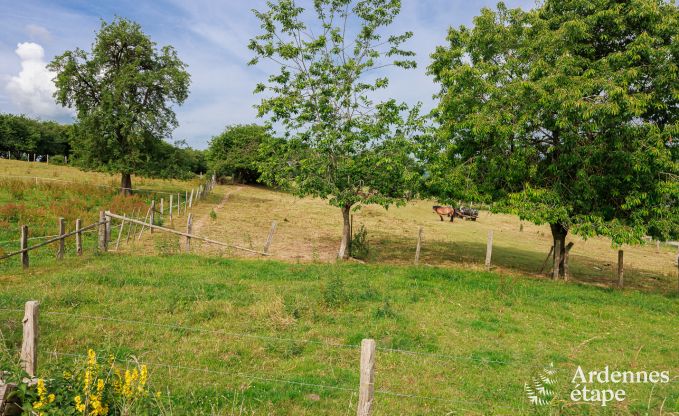 Ferienhaus Malmedy 6 Pers. Ardennen