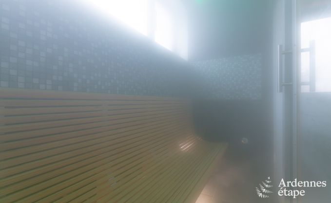 Ferienhaus Malmedy 10/12 Pers. Ardennen Schwimmbad Wellness