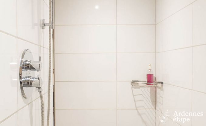 Ferienhaus Malmedy 10/12 Pers. Ardennen Schwimmbad Wellness