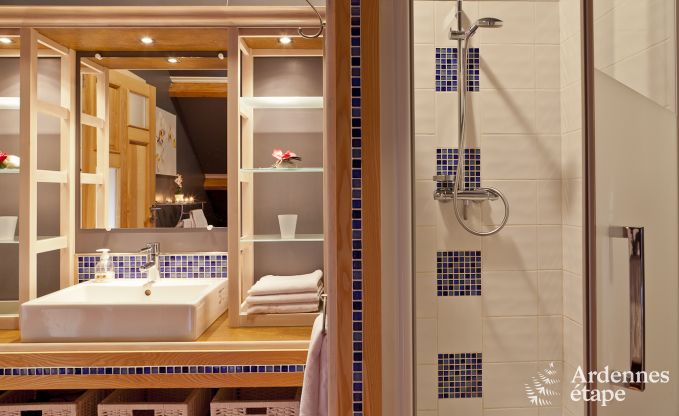 Ferienhaus Malmedy 10/12 Pers. Ardennen Schwimmbad Wellness