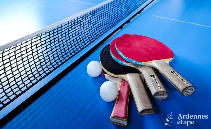 Ferienhaus Malmedy 18 Pers. Ardennen Wellness