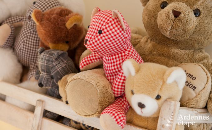 Ferienhaus Malmedy 10 Pers. Ardennen Wellness