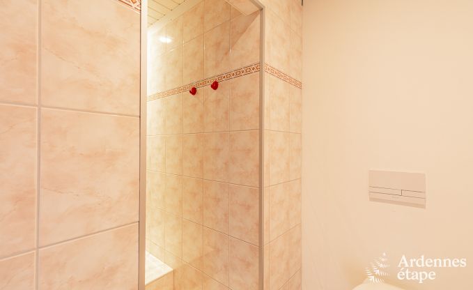 Ferienhaus Malmedy 22 Pers. Ardennen Wellness