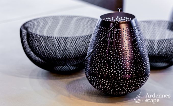 Ferienhaus Malmedy 20 Pers. Ardennen Wellness