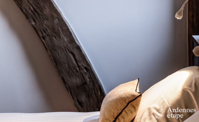 Ferienhaus Malmedy 20 Pers. Ardennen Wellness