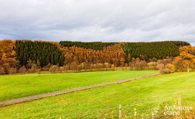 Ferienhaus Malmedy 20 Pers. Ardennen Wellness