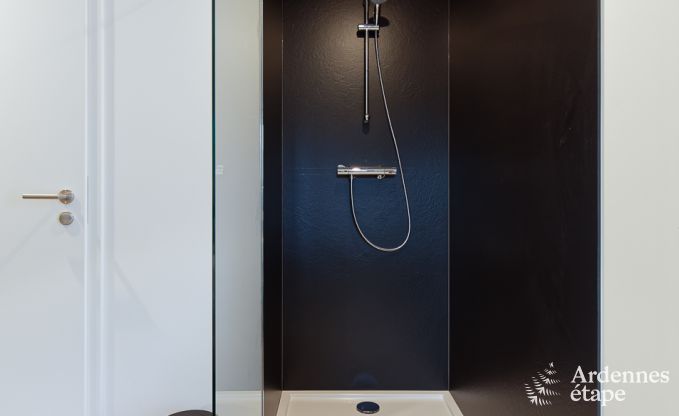 Ferienhaus Malmedy 20 Pers. Ardennen Wellness