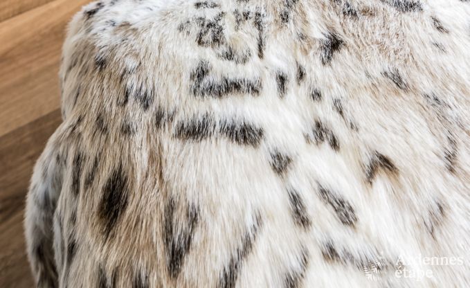 Ferienhaus Malmedy 20 Pers. Ardennen Wellness