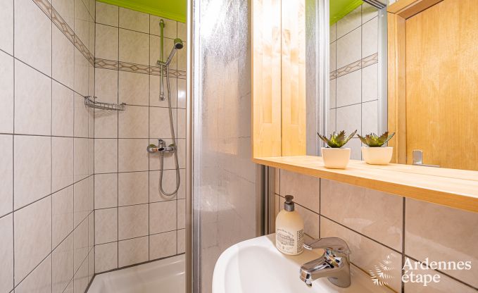 Ferienhaus Malmedy 22 Pers. Ardennen Schwimmbad Wellness