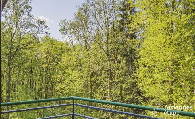 Ferienhaus Malmedy 18/20 Pers. Ardennen Schwimmbad Wellness