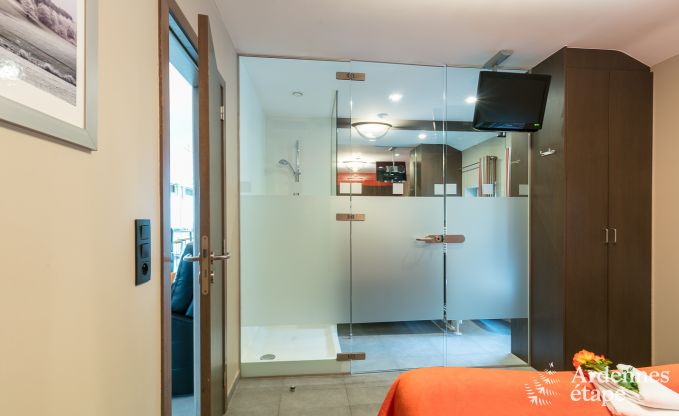 Luxusvilla Malmedy 8/9 Pers. Ardennen Schwimmbad Wellness