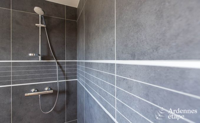 Luxusvilla Malmedy 12 Pers. Ardennen Schwimmbad Wellness