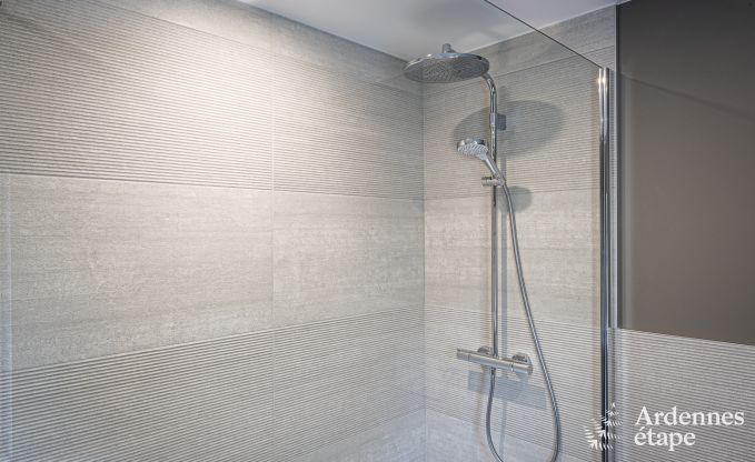 Luxusvilla Malmedy 12 Pers. Ardennen Schwimmbad Wellness