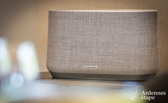 Luxusvilla Malmedy 12 Pers. Ardennen Schwimmbad Wellness