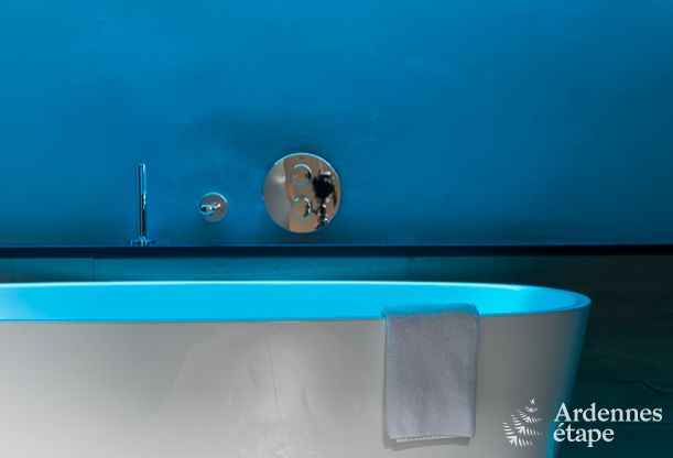 Luxuri�se Villa mit umfangreicher Ausstattung f�r 8 Personen in Malmedy in den Ardennen