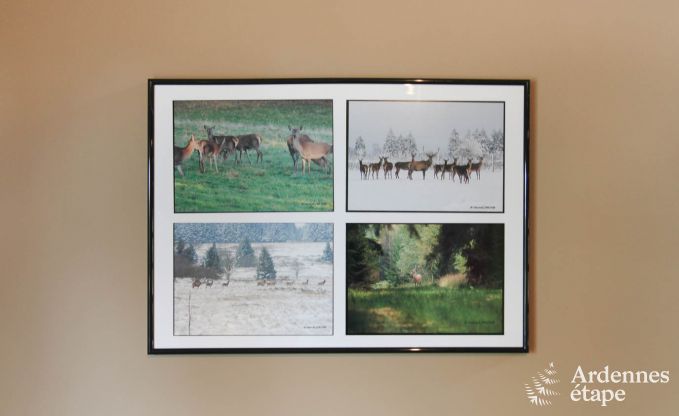 Wohnung Malmedy 7 Pers. Ardennen