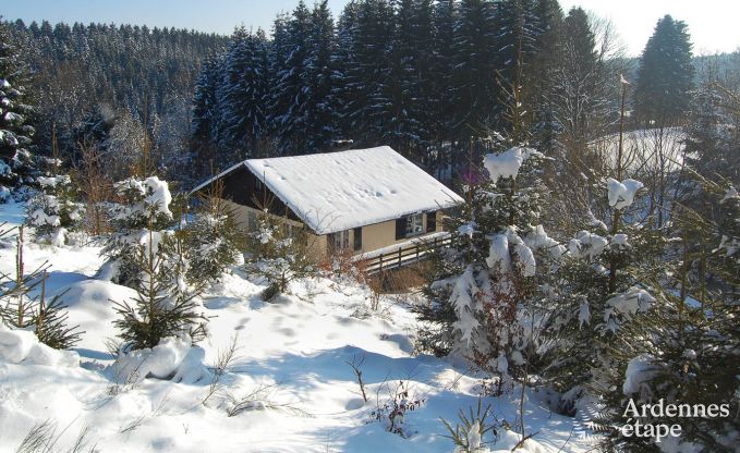 Chalet Malmedy 12 Pers. Ardennen Wellness