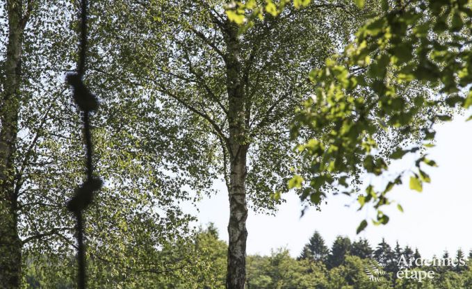Ferienhaus Malmedy 8 Pers. Ardennen