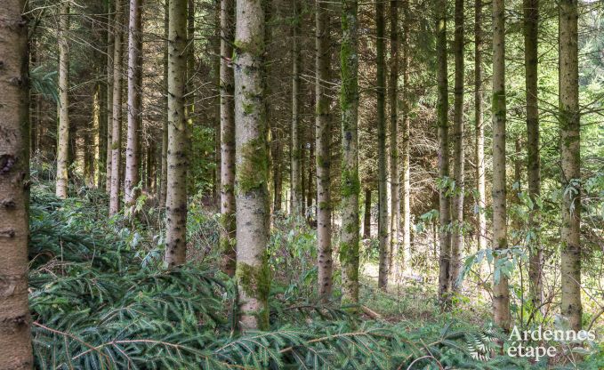 Ferienhaus Malmedy 8 Pers. Ardennen Behinderten gerecht