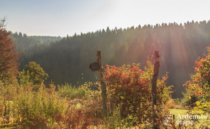 Ferienhaus Malmedy 8 Pers. Ardennen Behinderten gerecht