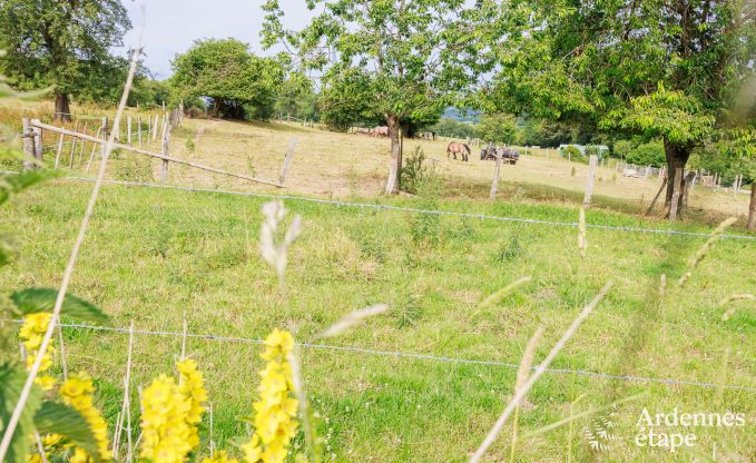 Ferienhaus Malmedy 6 Pers. Ardennen