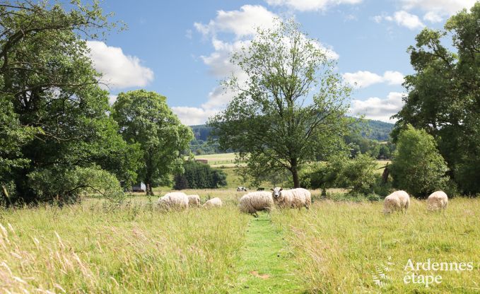 Ferienhaus Malmedy 7/9 Pers. Ardennen Wellness Behinderten gerecht