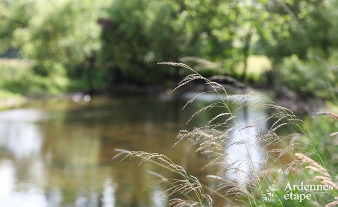 Ferienhaus Malmedy 7/9 Pers. Ardennen Wellness Behinderten gerecht