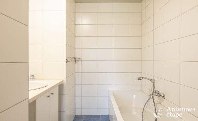 Ferienhaus Malmedy 20 Pers. Ardennen Wellness