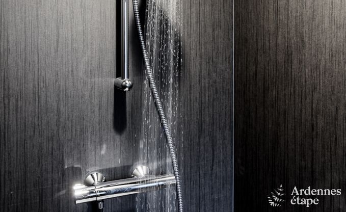 Ferienhaus Malmedy 20 Pers. Ardennen Wellness