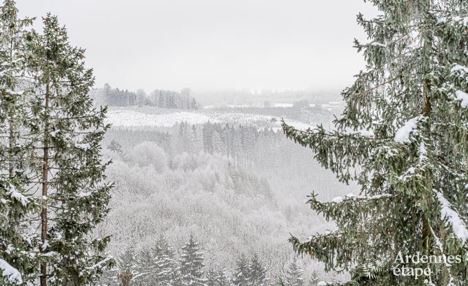 Ferienhaus Malmedy 22 Pers. Ardennen Schwimmbad Wellness