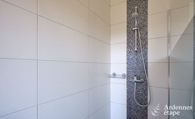 Ferienhaus Malmedy 9 Pers. Ardennen Schwimmbad Wellness