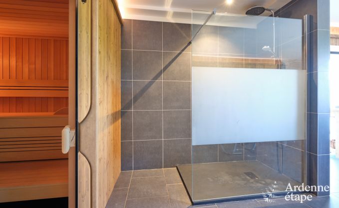 Ferienhaus Malmedy 9 Pers. Ardennen Schwimmbad Wellness