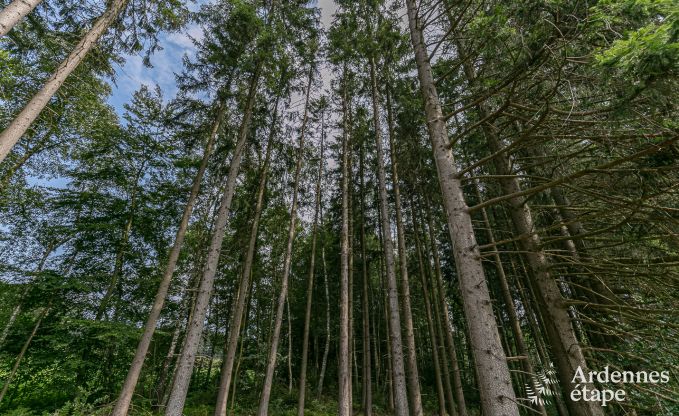 Luxusvilla Malmedy 14 Pers. Ardennen Wellness Behinderten gerecht