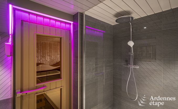 Luxusvilla Malmedy 12 Pers. Ardennen Schwimmbad Wellness