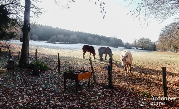 Chalet Manhay 2 Pers. Ardennen Behinderten gerecht