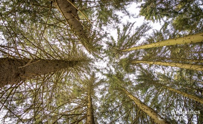 Chalet Manhay 2 Pers. Ardennen Behinderten gerecht