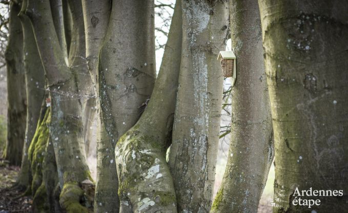 Chalet Manhay 2 Pers. Ardennen Behinderten gerecht