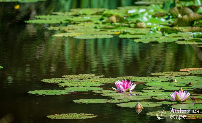 Chalet Manhay 2 Pers. Ardennen Behinderten gerecht