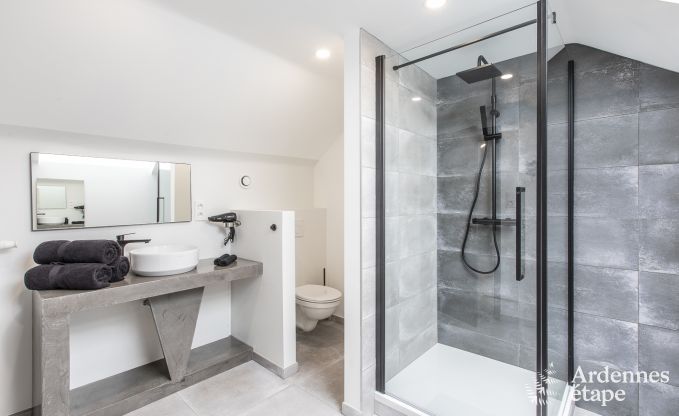 Ferienhaus Manhay 9 Pers. Ardennen Wellness