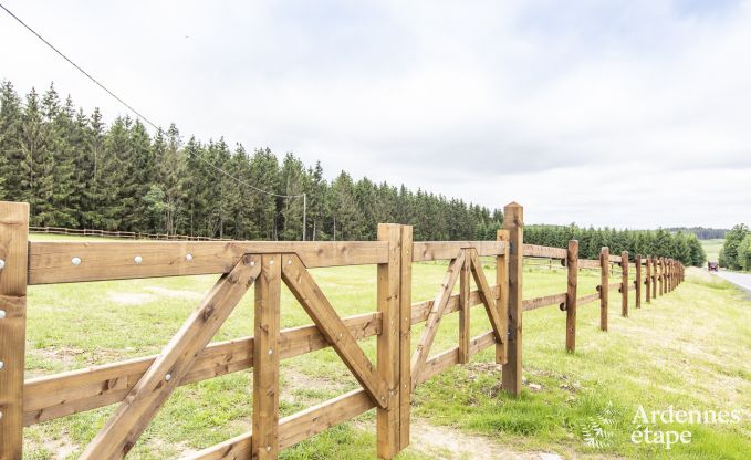Ferienhaus Manhay 9 Pers. Ardennen Wellness