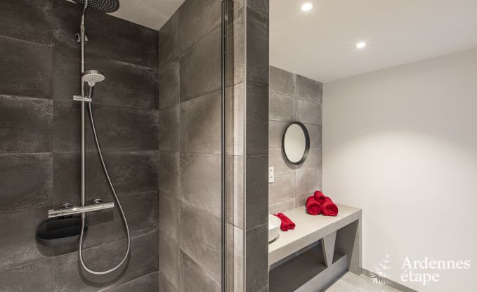 Ferienhaus Manhay 9 Pers. Ardennen Wellness