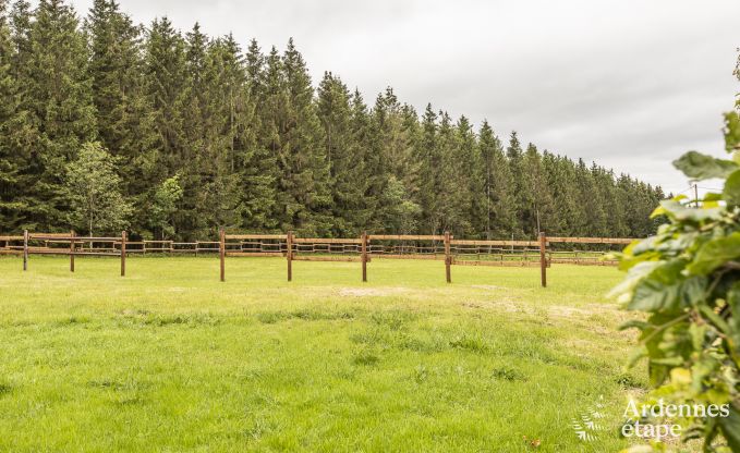 Ferienhaus Manhay 9 Pers. Ardennen Wellness